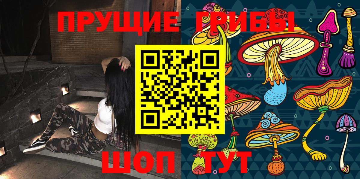 Псилоцибиновые грибы Magic Shrooms Гурьевск