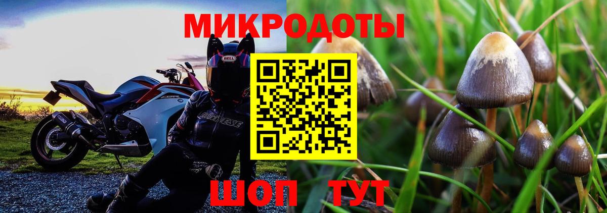 Псилоцибиновые грибы Cubensis  Псилоцибиновые грибы Magic Shrooms  Гурьевск  Вход с VPN 